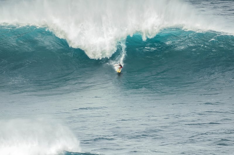 Heart-Pounding Thrills